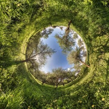 Preservación de los ecosistemas