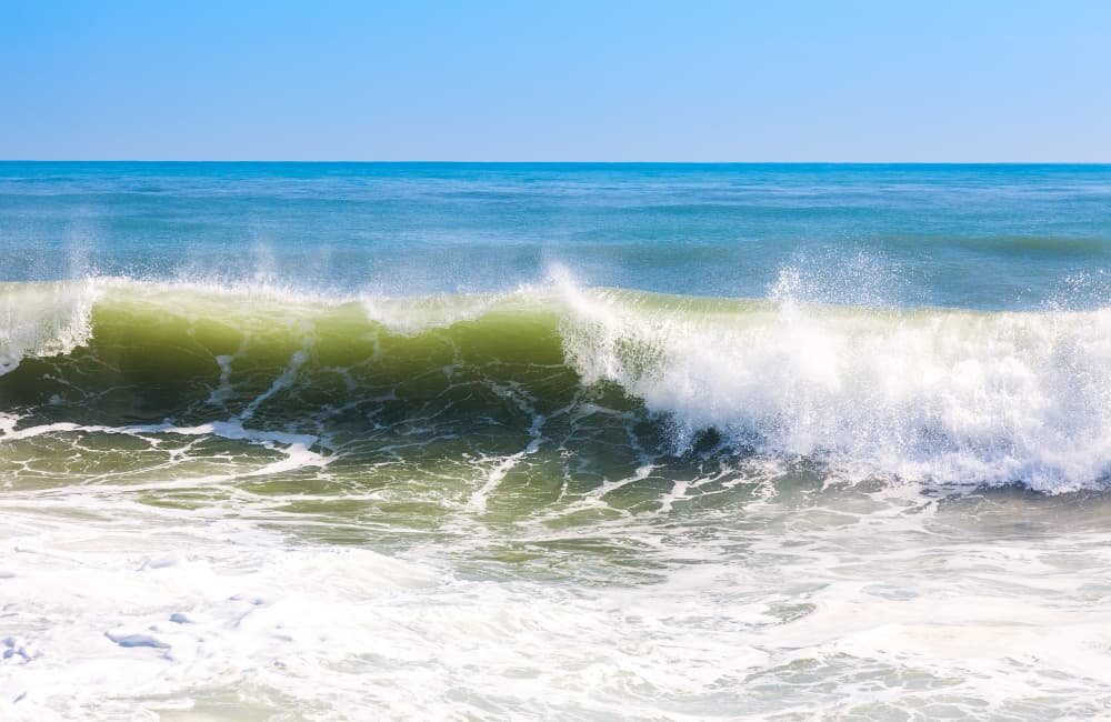 Fenómeno sin precedentes: Olas de calor marinas desafían las expectativas.