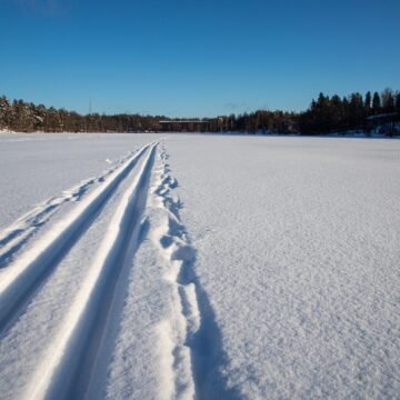 Ventiscas de nieve: ¿amigas o enemigas del medio ambiente ártico?