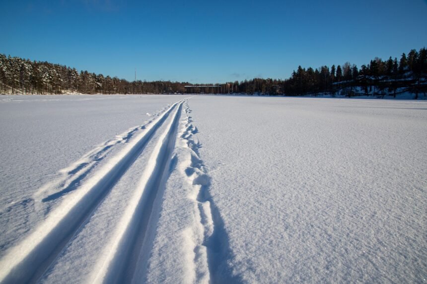 Ventiscas de nieve: ¿amigas o enemigas del medio ambiente ártico?