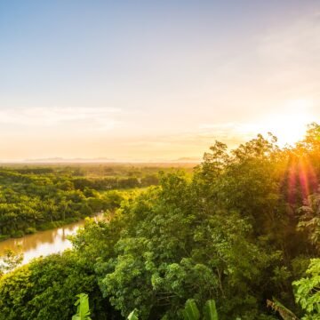 Amazonas en riesgo: ¿cómo impacta el fenómeno de El Niño? Amazonas en riesgo: ¿cómo impacta el fenómeno de El Niño?