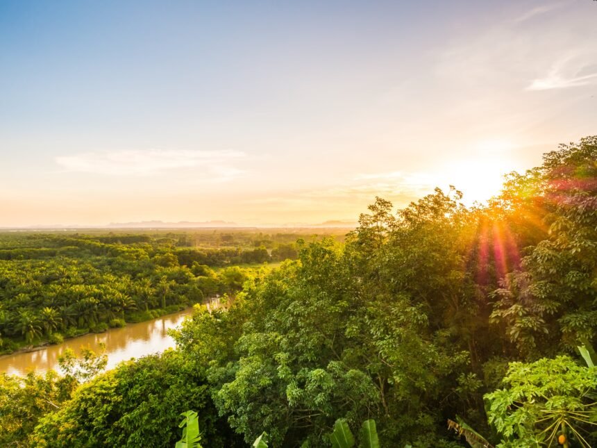 Amazonas en riesgo: ¿cómo impacta el fenómeno de El Niño?