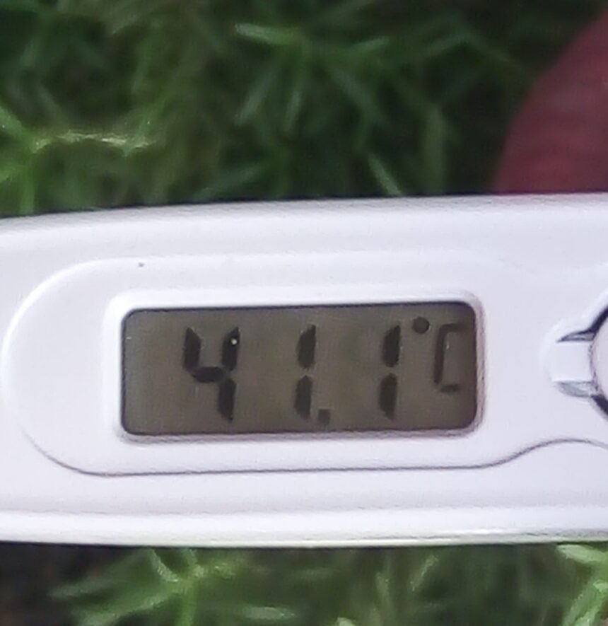 Olas de calor sin fin: el 2024 se presenta como un año extremadamente caluroso
