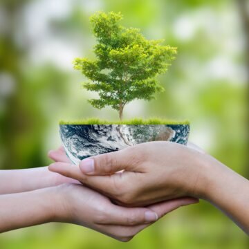 dia-mundial-medio-ambiente-concepto-dia-tierra-dos-manos-humanas-sosteniendo-globo-terraqueo-gran-arbol-sobre-bosque-borroso-fondo-verde-bokeh-elementos-imagen-proporcionados-nasa-min Crecimiento económico y bienestar social en defensa de la naturaleza