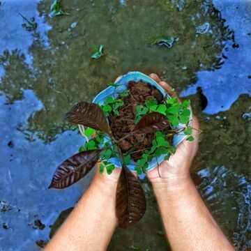 La importancia de conservar los ecosistemas y restaurar la biodiversidad La importancia de conservar los ecosistemas y restaurar la biodiversidad