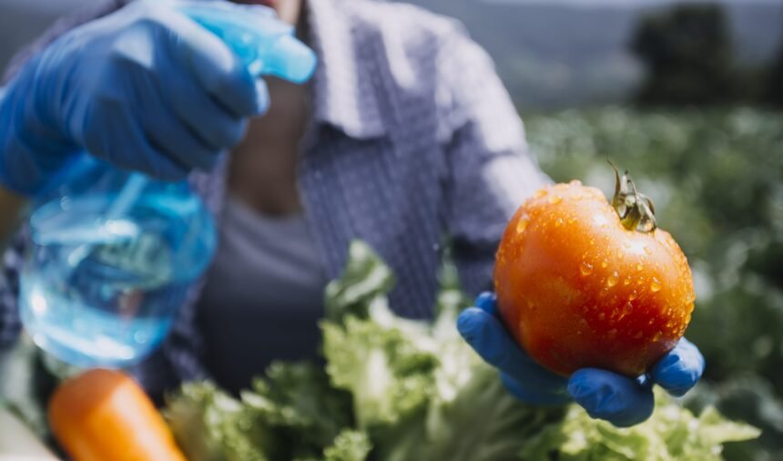Agricultura orgánica: el desafío de producir sin contaminar
