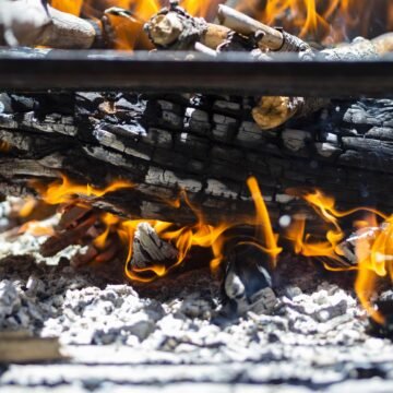 Chile: el desafío invernal de la biomasa y la contaminación ambiental