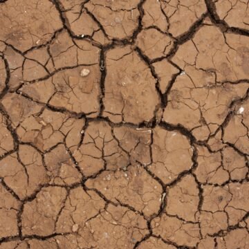 Sequía: el desafío hídrico que aflige a La Guajira, Colombia
