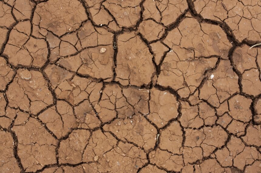 Sequía: el desafío hídrico que aflige a La Guajira, Colombia
