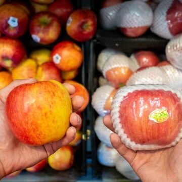 Tóxicos: la crisis oculta en los plásticos de uso cotidiano