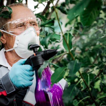 El uso excesivo de agroquímicos en Paraguay: impactos ambientales y desafíos para la sostenibilidad