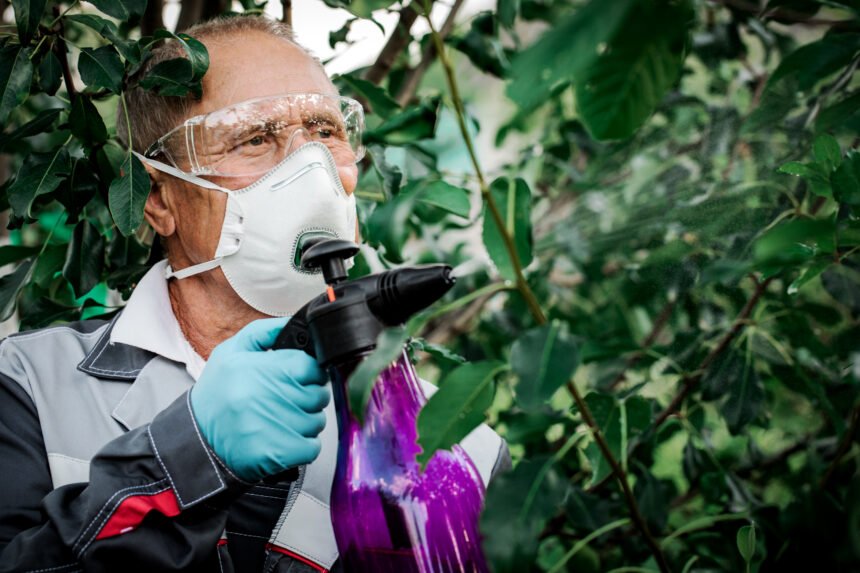 El uso excesivo de agroquímicos en Paraguay: impactos ambientales y desafíos para la sostenibilidad