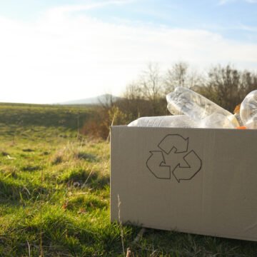 Vertederos a cielo abierto: desafíos ecológicos y propuestas para una solución integral