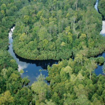 ¿Cómo pueden los humedales colombianos combatir el cambio climático?