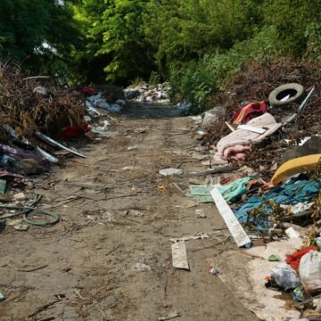 Las consecuencias devastadoras de  tirar basura en la calle y sus estragos en la naturaleza