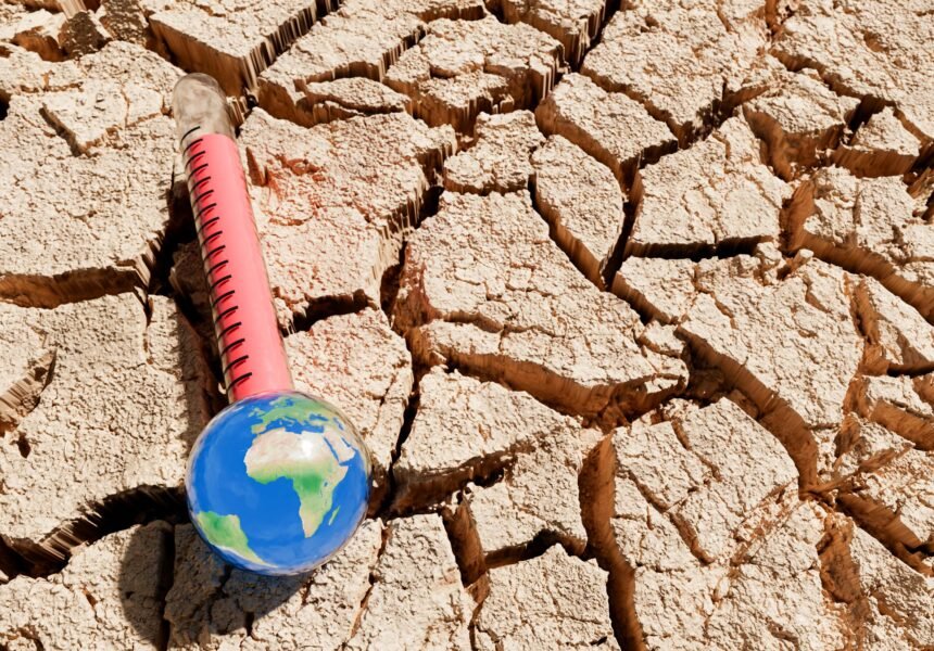 El aumento alarmante de olas de calor y su impacto en el medio ambiente