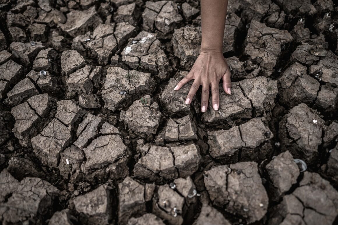 Crisis climática: ¿cómo impacta en el turismo mundial?