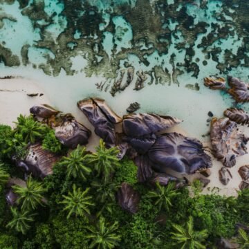 Islas Marshall: vulnerabilidad a flor de piel ante el cambio climático