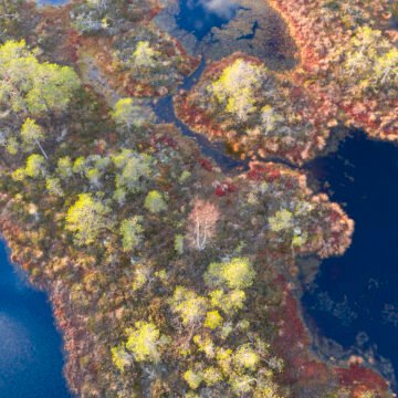 La extracción de recursos naturales en Latinoamérica y sus impactos ambientales
