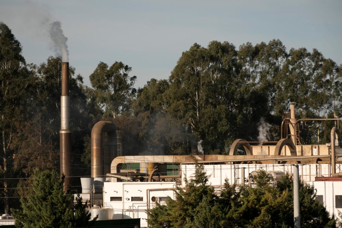 Impacto ambiental de la industria minera: un desafío urgente para la sostenibilidad