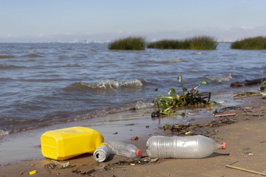 Bahía de Cohana: estrago de la contaminación ambiental en Bolivia