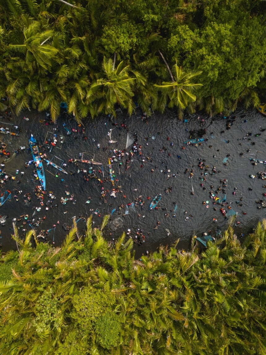 El impacto devastador de la contaminación en la Isla de Palaú