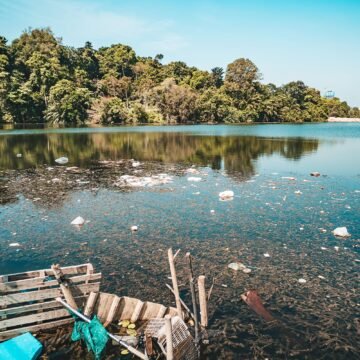 La contaminación del lago de Atitlán y sus ramificaciones sociales en Guatemala
