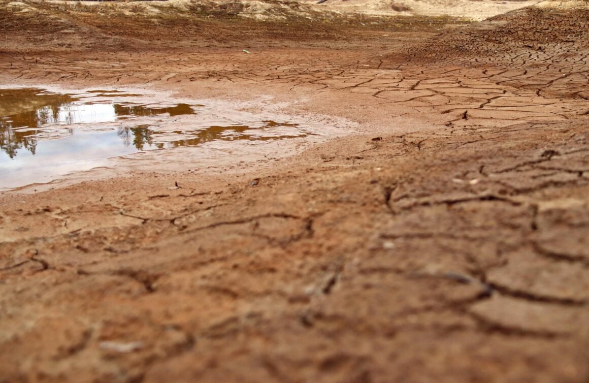 Desierto en crisis: la escasez de agua y la degradación del suelo en el Norte de Chile