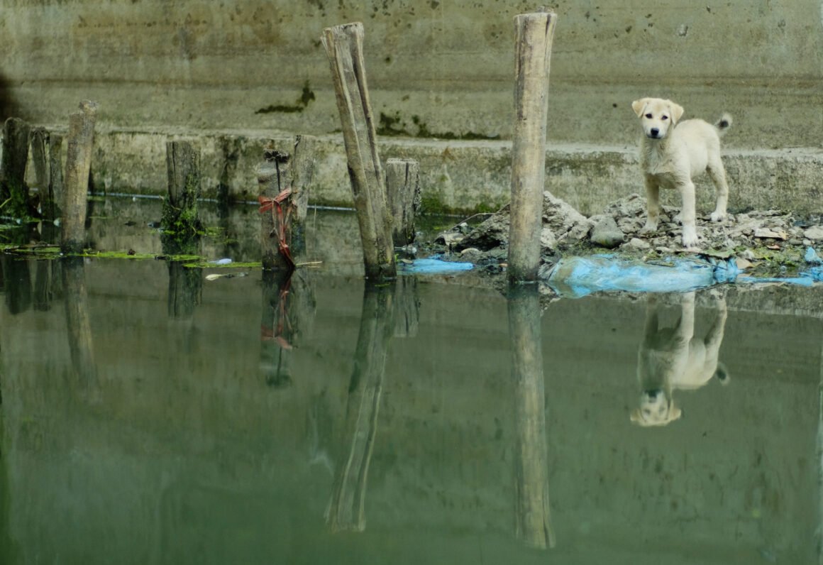 Ríos contaminados, comunidades vulnerables: la crisis hídrica en las zonas rurales de México