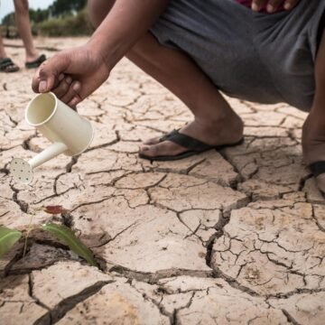  Desafiando la sequía: estrategias de adaptación en las zonas áridas de Perú