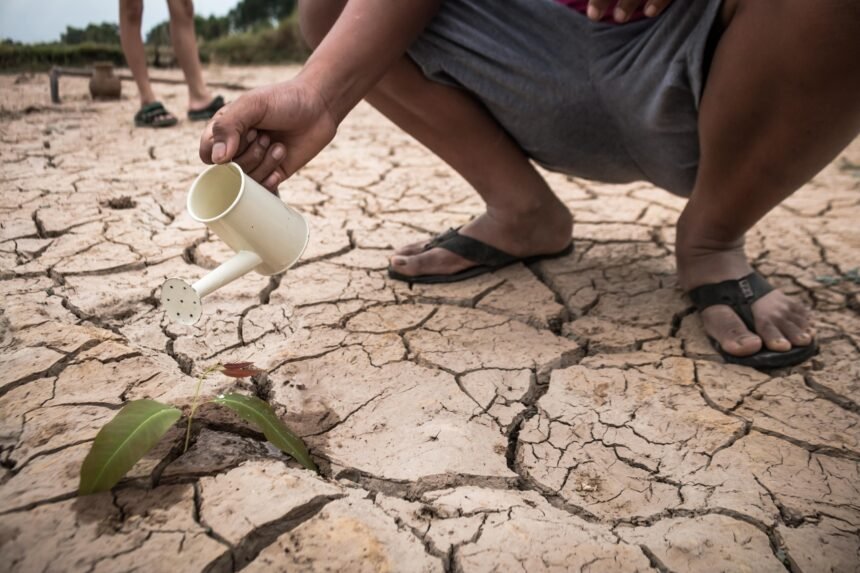  Desafiando la sequía: estrategias de adaptación en las zonas áridas de Perú