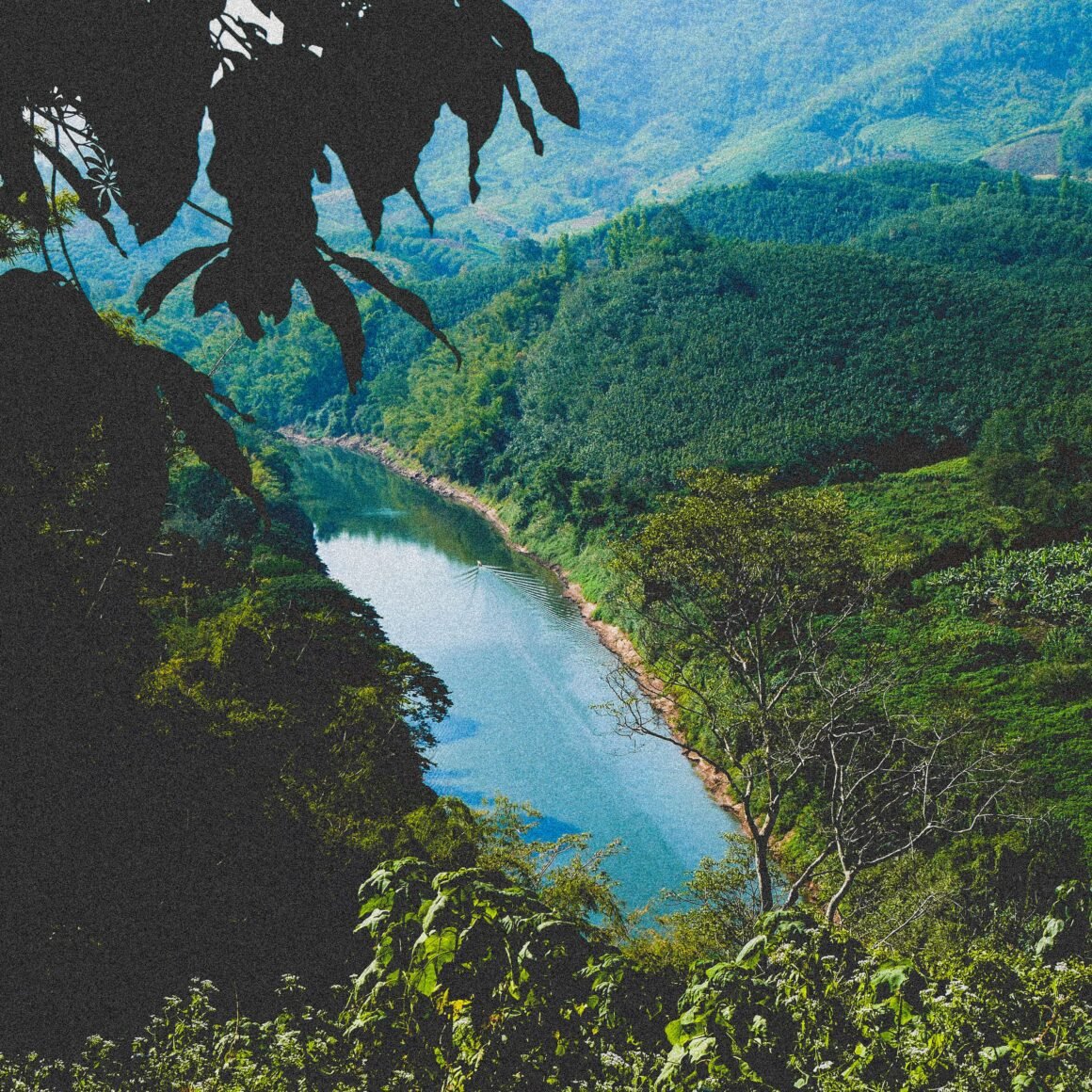 El Parque Nacional Corcovado, Costa Rica, y su conservación en un entorno fragilizado