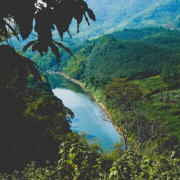 El Parque Nacional Corcovado, Costa Rica, y su conservación en un entorno fragilizado