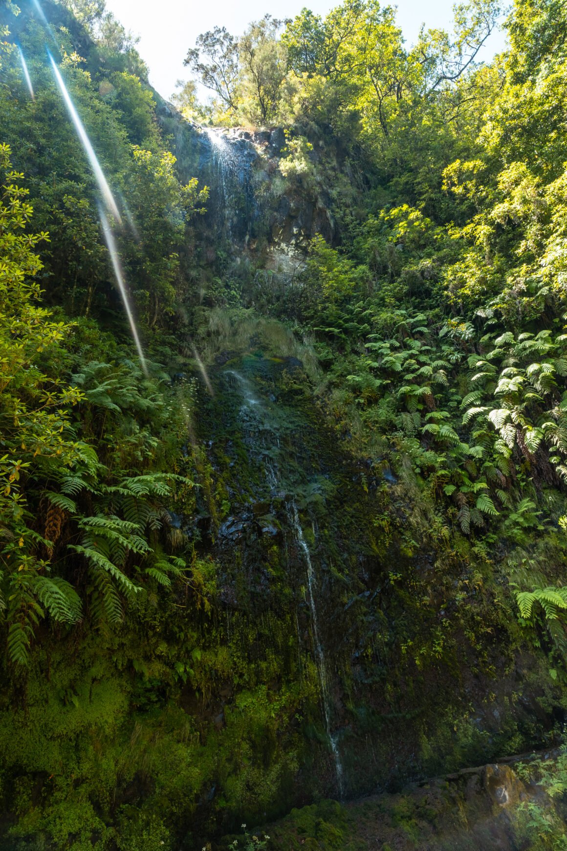 El Parque Nacional Canaima, Venezuela, un ejemplo sustentable que enfrenta obstáculo ambientales