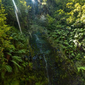 El Parque Nacional Canaima, Venezuela, un ejemplo sustentable que enfrenta obstáculo ambientales El Parque Nacional Canaima, Venezuela, un ejemplo sustentable que enfrenta obstáculo ambientales