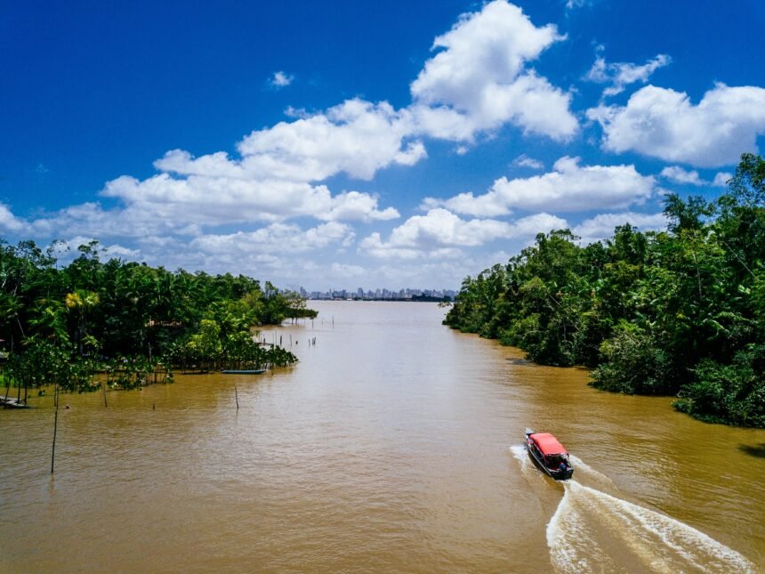 Las complicaciones ambientales en el Delta del Paraná, Argentina