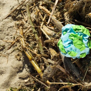 La pérdida de biodiversidad: un desafío global para el medio ambiente y la humanidad La pérdida de biodiversidad: un desafío global para el medio ambiente y la humanidad