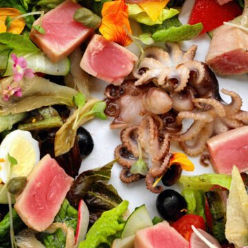 Los animales y vegetales amenazados sumó 1.000 nuevas especies en 2024 Los animales y vegetales amenazados sumó 1.000 nuevas especies en 2024