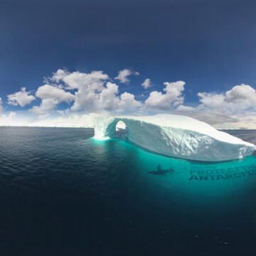 El iceberg más grande del planeta quedó atrapado en una corriente oceánica