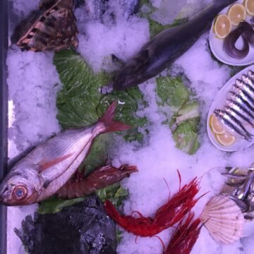 Los efectos de la sobrepesca en los ecosistemas marinos: un enfoque en el atún rojo y sus consecuencias Los efectos de la sobrepesca en los ecosistemas marinos: un enfoque en el atún rojo y sus consecuencias