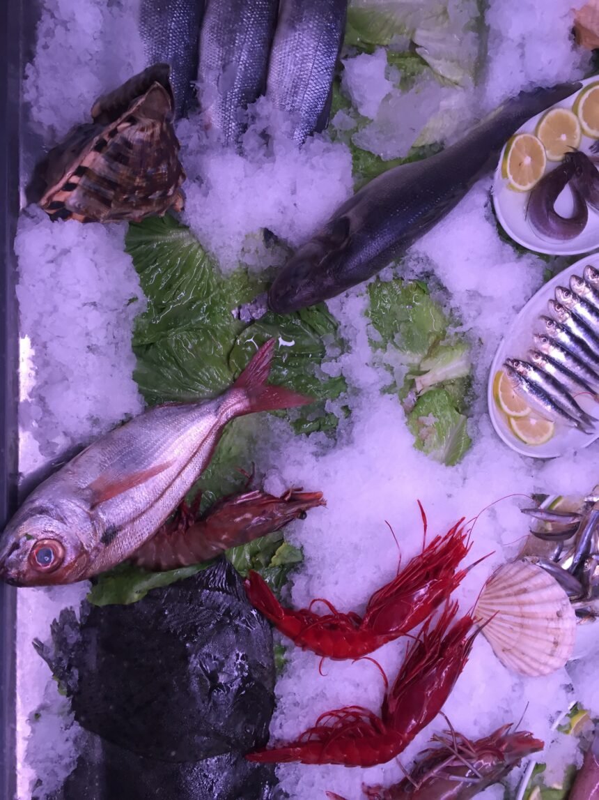 Los efectos de la sobrepesca en los ecosistemas marinos: un enfoque en el atún rojo y sus consecuencias