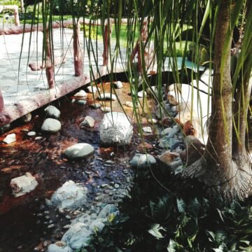 El impacto de las plantaciones de palma de aceite en la biodiversidad de Borneo: casos de pérdida de hábitat El impacto de las plantaciones de palma de aceite en la biodiversidad de Borneo: casos de pérdida de hábitat