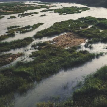 El Río de la Plata en Argentina: ecosistemas en riesgo El Río de la Plata en Argentina: ecosistemas en riesgo