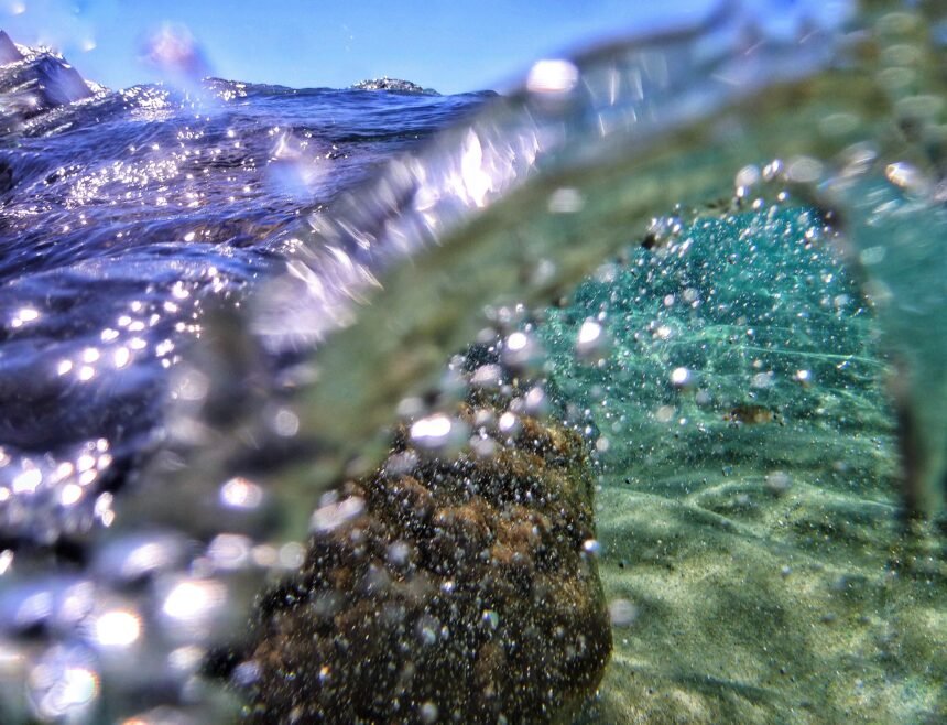 El blanqueamiento de corales y su impacto en los ecosistemas marinos