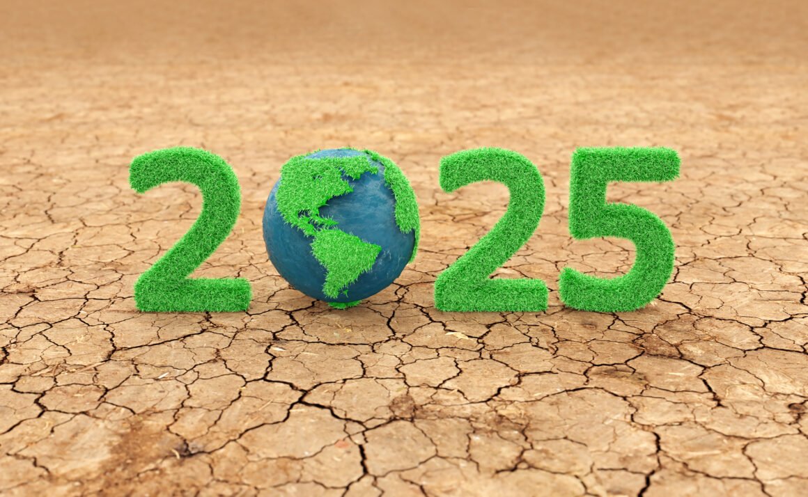 Las mayores preocupaciones ambientales para el 2025