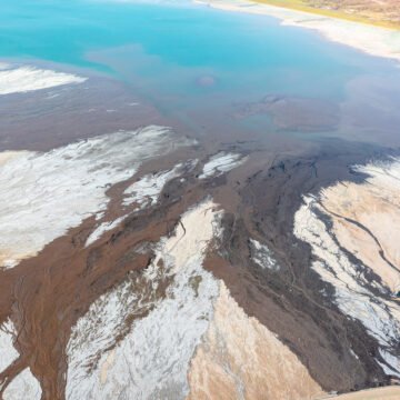 La salinización de suelos en el norte de Argentina como desafío para el 2025