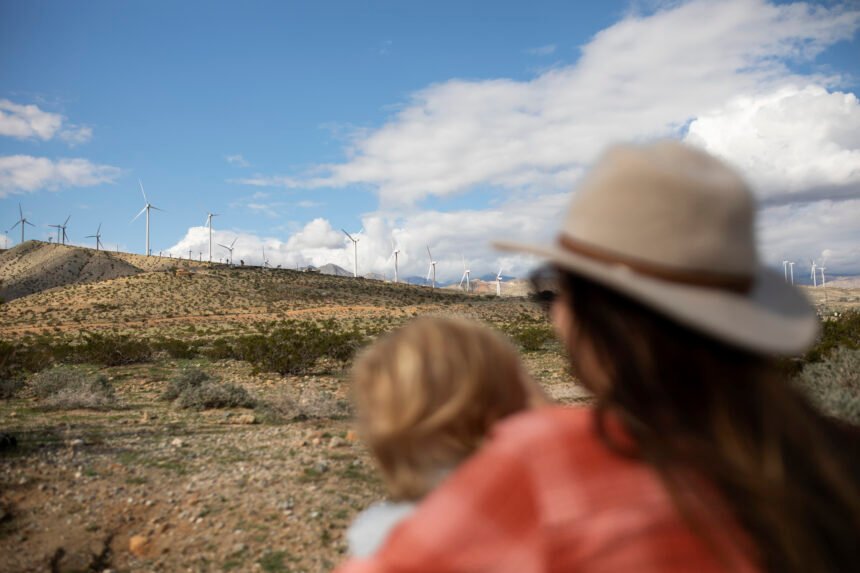 La importancia de las energías renovables en la Argentina