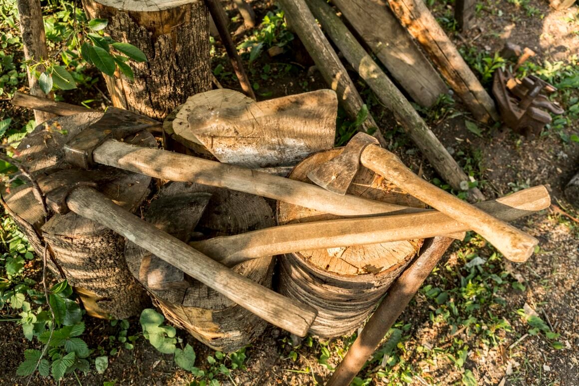 La tala de quebrachos para la construcción de durmientes: un problema ambiental urgente