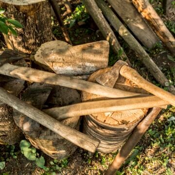 La tala de quebrachos para la construcción de durmientes: un problema ambiental urgente
