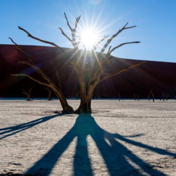 La sequía en Argentina, Uruguay y Chile como desafío para la región